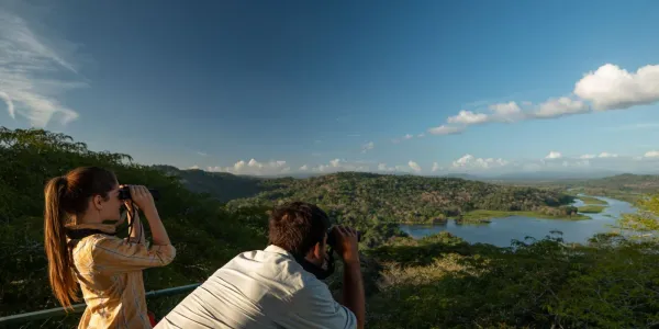 Birdwatching and lookout views during a Panama rainforest nature walk