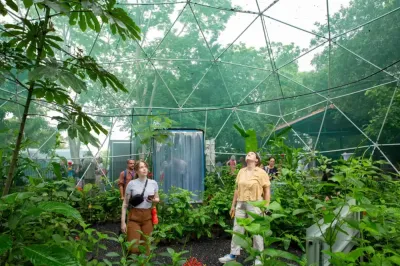 Butterfly dome at Smithsonian Punta Culebra
