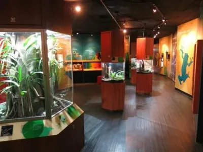 Visitor center exhibits inside Smithsonian Punta Culebra