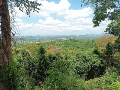 Rolling tropical forest canopy under a bright sky across Parque Natural Metropolitano