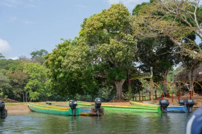 Traditional canoes lined up at the Emberá village riverbank