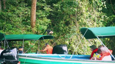 Monkey visiting the tour boat on Gatún Lake
