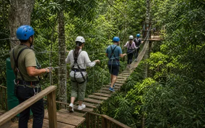 Crossing eco-puentes suspension bridges through the jungle canopy