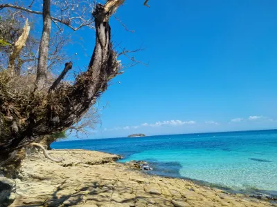 Tree-framed shoreline and blue Pacific water on Contadora Island